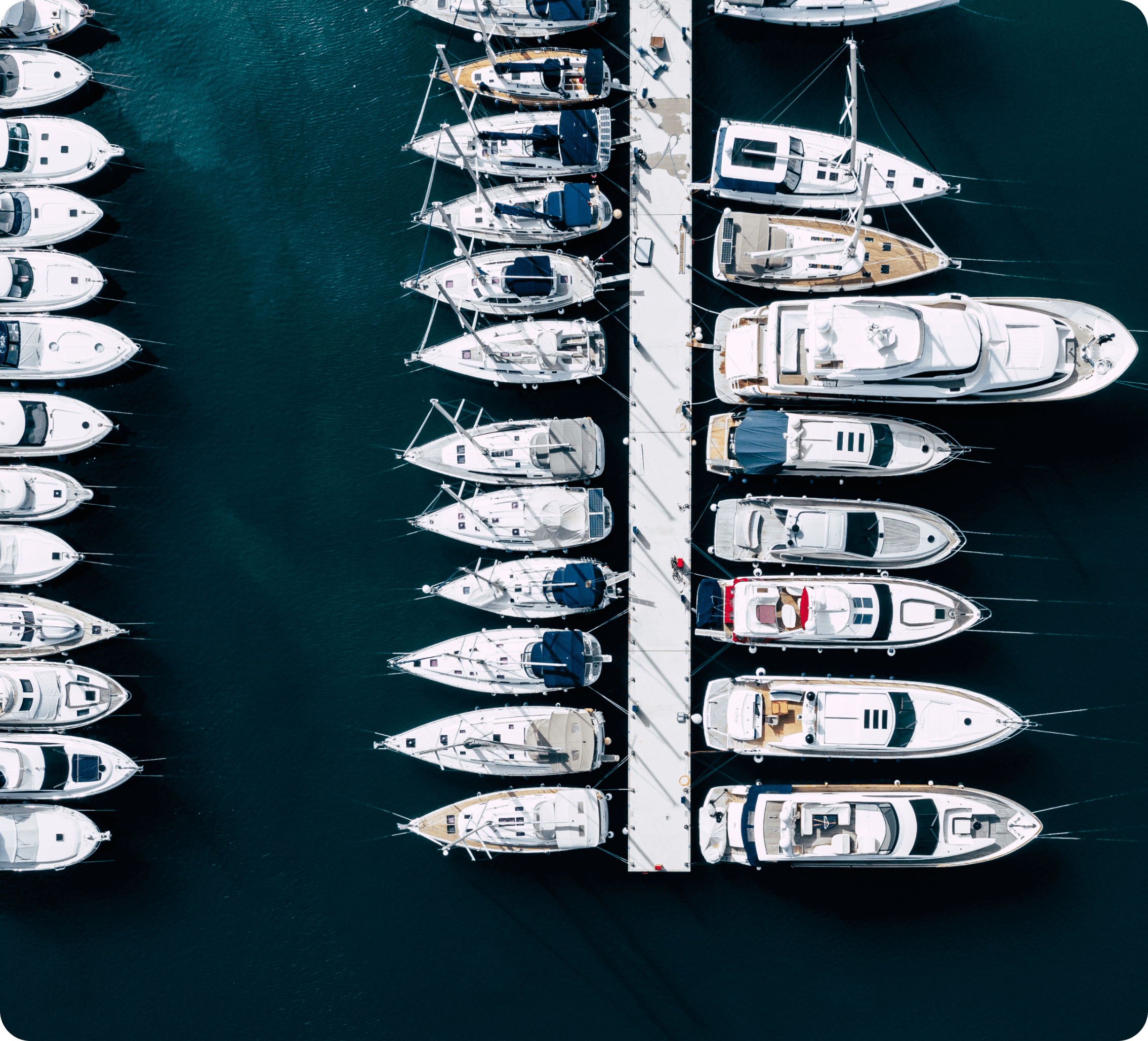DSG_770x215_Marina Management Simplified with Digital Sportsman_01-min (1)