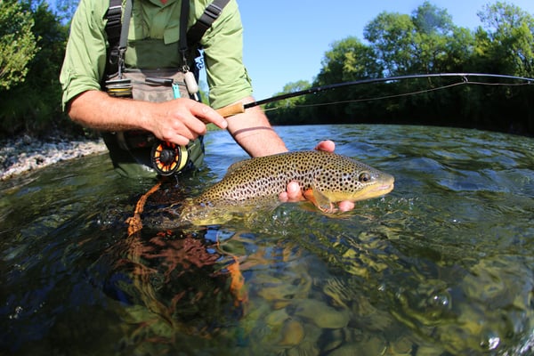 Guide on water