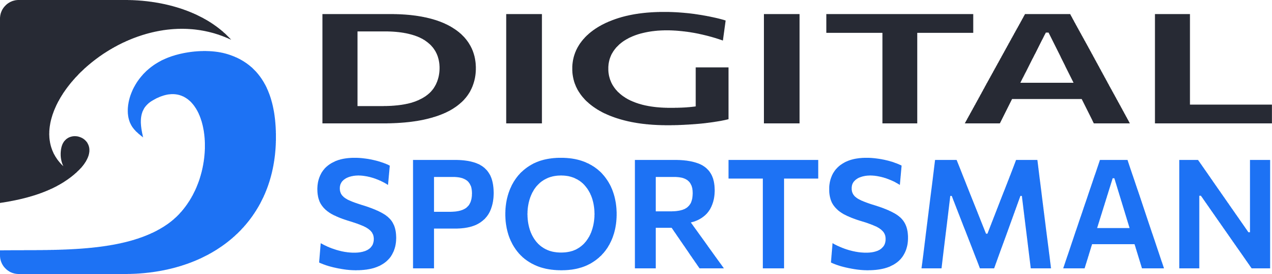 DSman+logo+blue+dark
