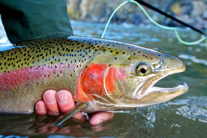 Marketing & Client Engagement for Fishing Guides & Captains