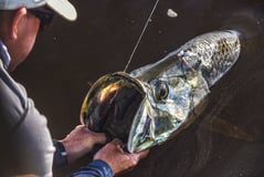 How Digital Sportsman Helps Fishing Guides Market Smarter
