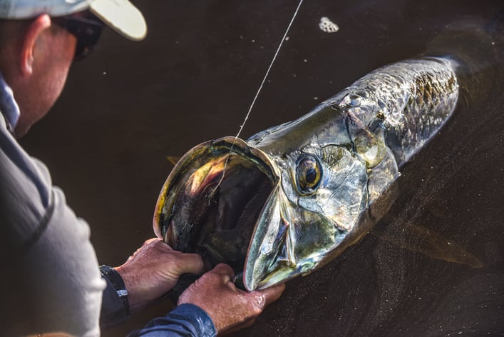 How Digital Sportsman Helps Fishing Guides Market Smarter