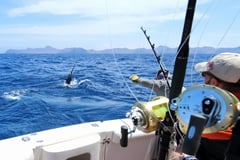 Top Booking Systems for Fishing Guides & Charters in 2025
