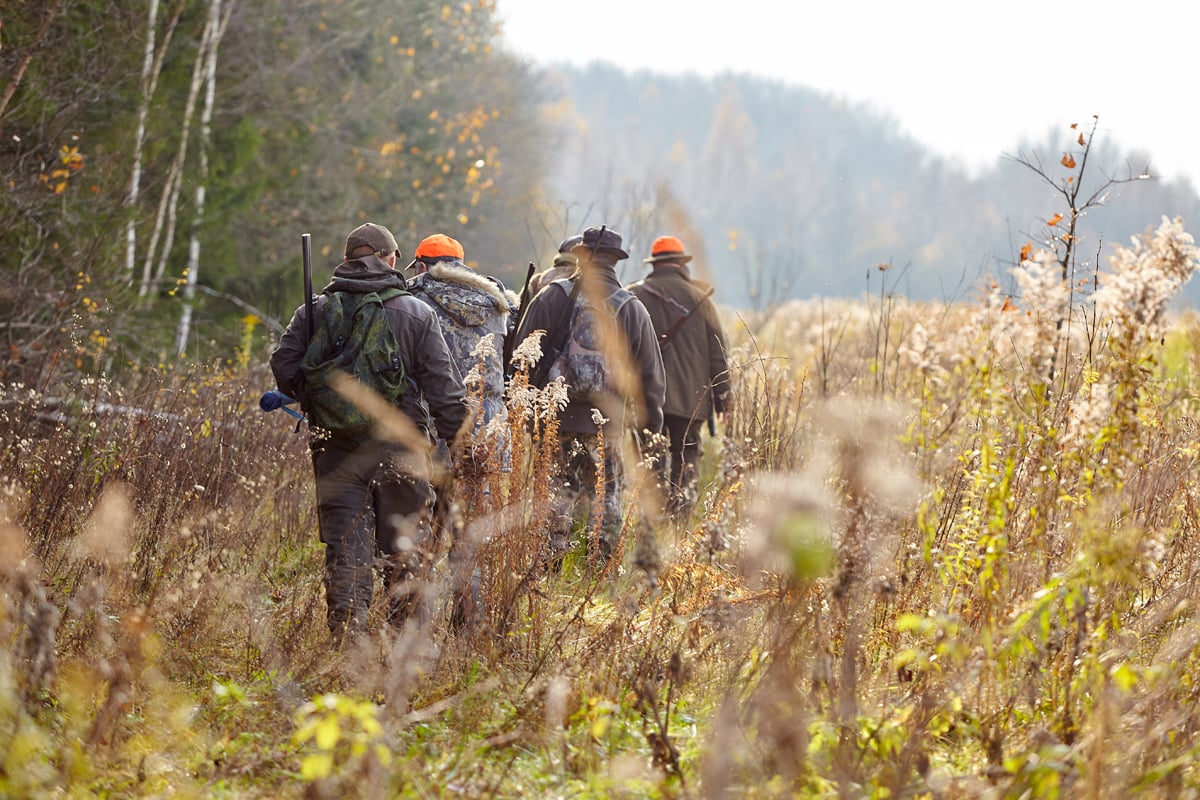 guided hunting