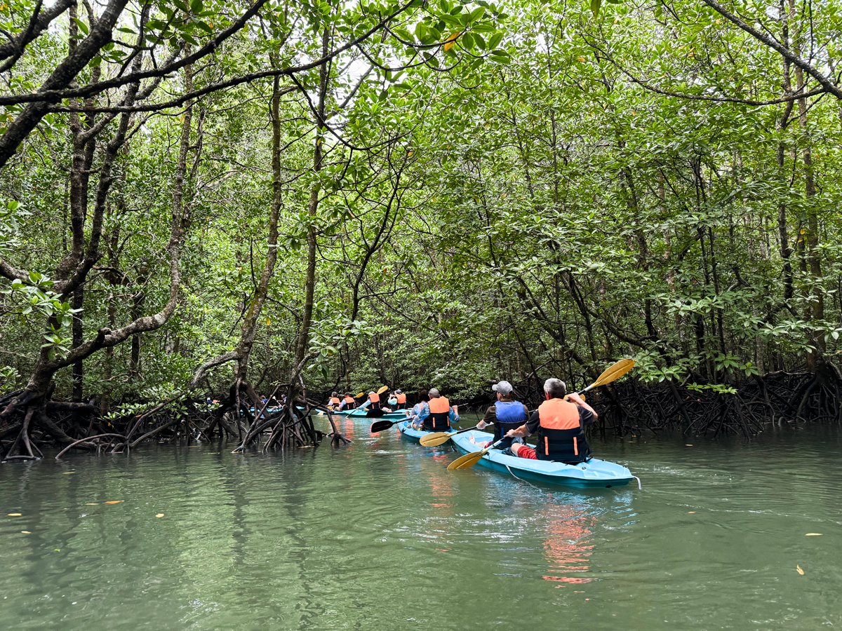 kayak tour