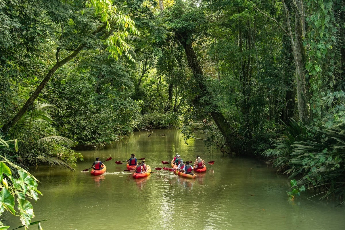 nature-tour-biz-tips