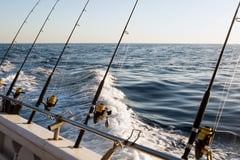 Choosing an Online Booking System for Fishing Charters