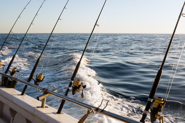 Choosing an Online Booking System for Fishing Charters