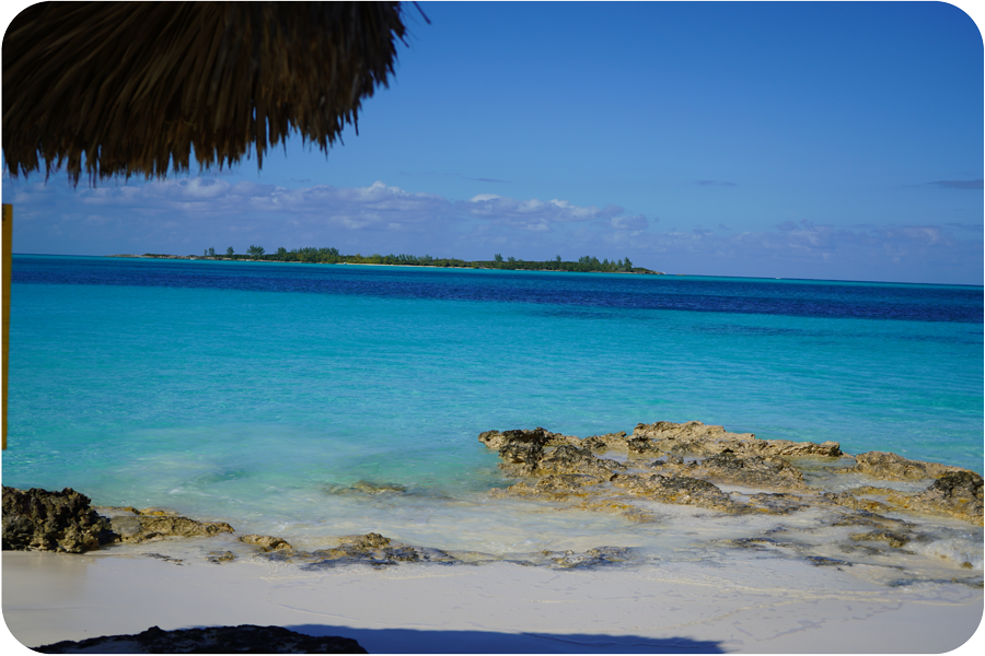 DSC00361_mobile-1 DSC00361_mobile-1