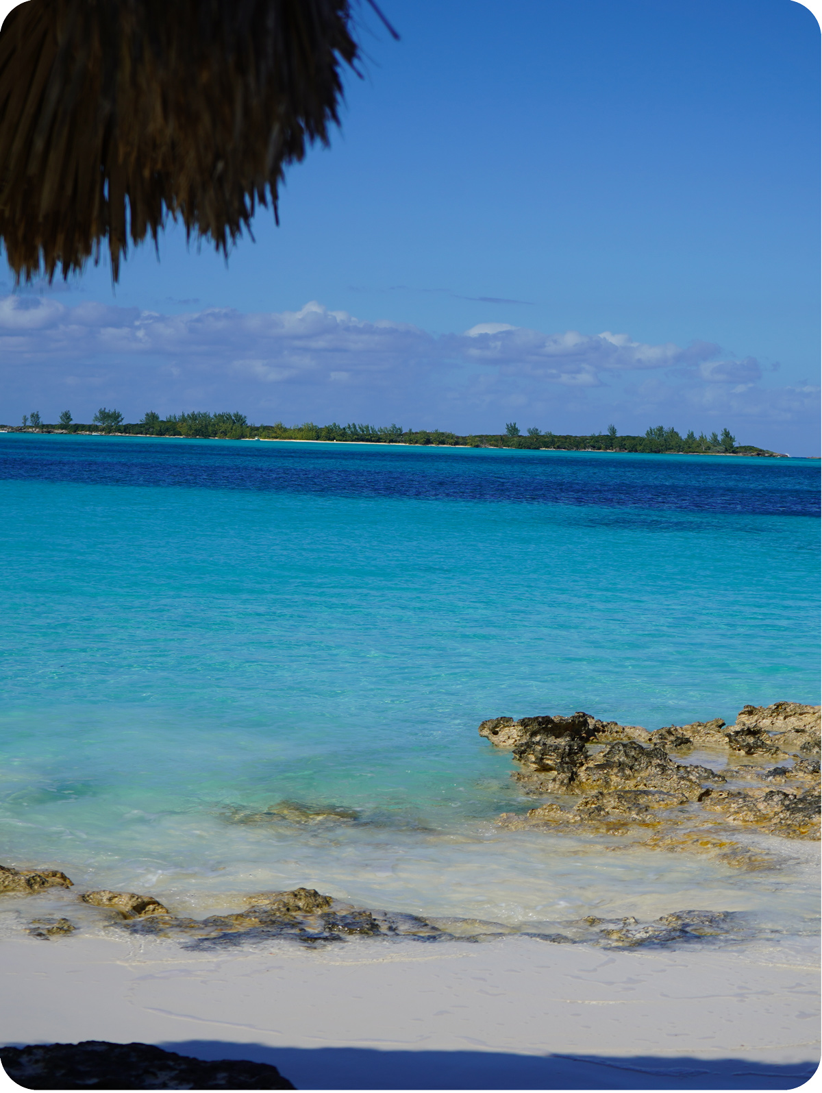 DSC00361_web_rounded DSC00361_web_rounded